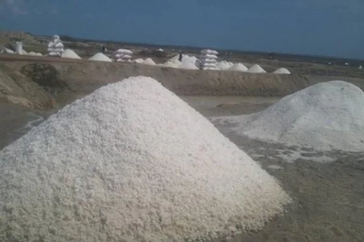 Supplier Sea Salt In Bulk From Vietnam Whatsapp +84 845 639 639 Buy