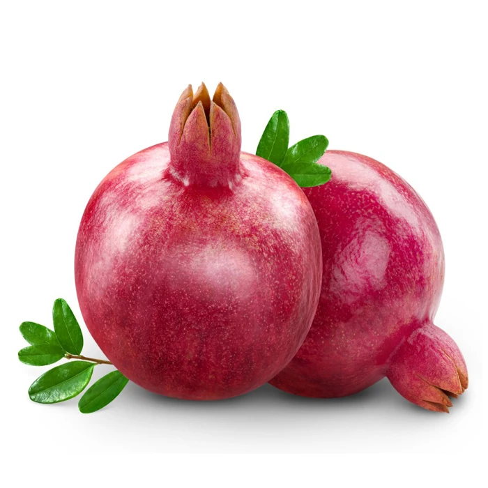 
Jumbo Bold Pomegranate 
