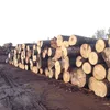 /product-detail/top-quality-pine-wood-logs-birch-wood-logs-spruce-wood-logs-62014007106.html