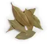Cardamon, cinnamon, ginger, onions, black pepper, bay leaf, mace, cumin seeds, clove, star, red chilly,
