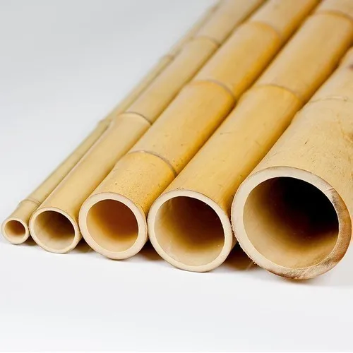 
Solid dried bamboo poles for gardening and construction from Vietnam 