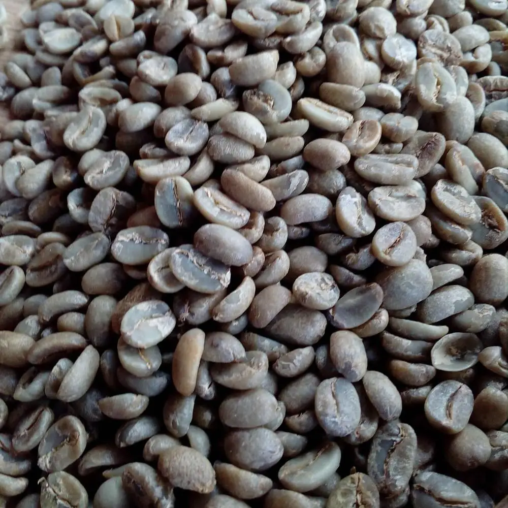 wholesale green coffee beans