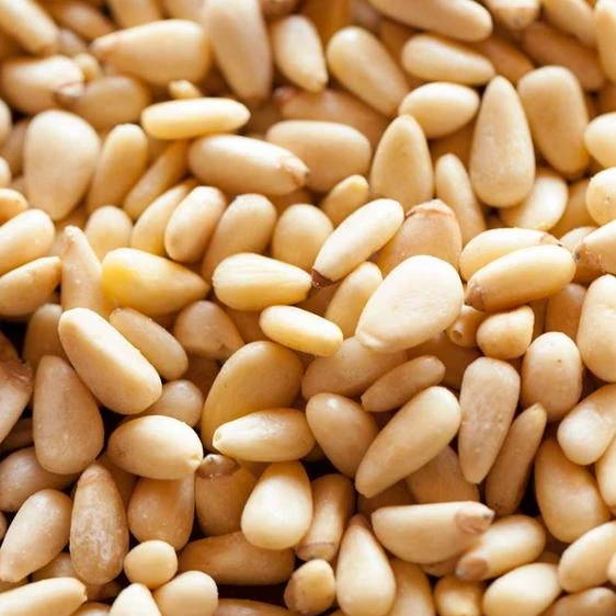 pine nut kernels price / pine nut kernels / pine nut organic