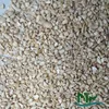 Best discount for cashew nut with many different grade BB/SP/LP/WS/W320/W240 from Nam Tin Phat Vietnam
