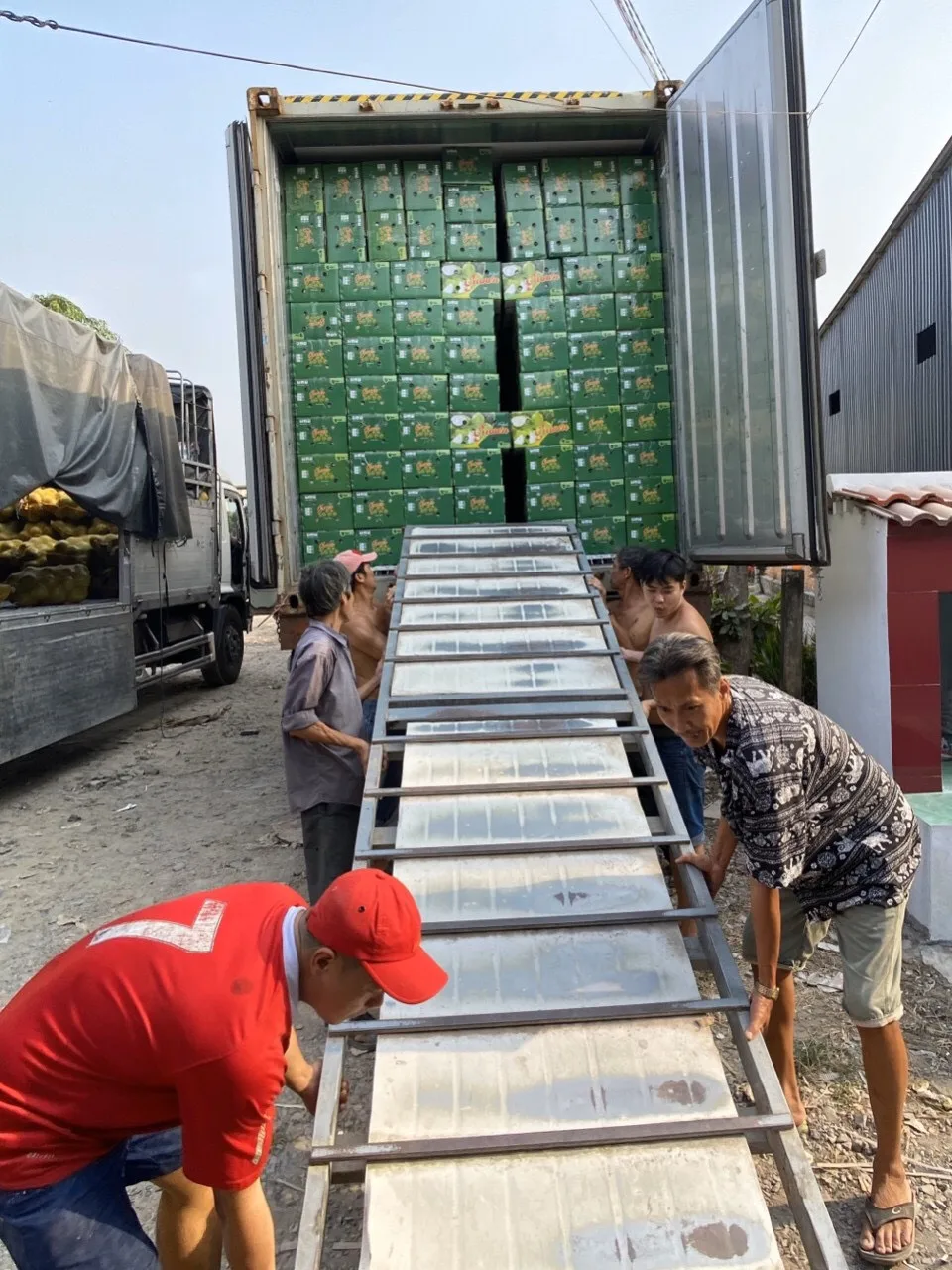 
Newest 2020 fresh guava export origin from Vietnam package in carton box 5kg 9kg 9.5kg 10kg net weight 