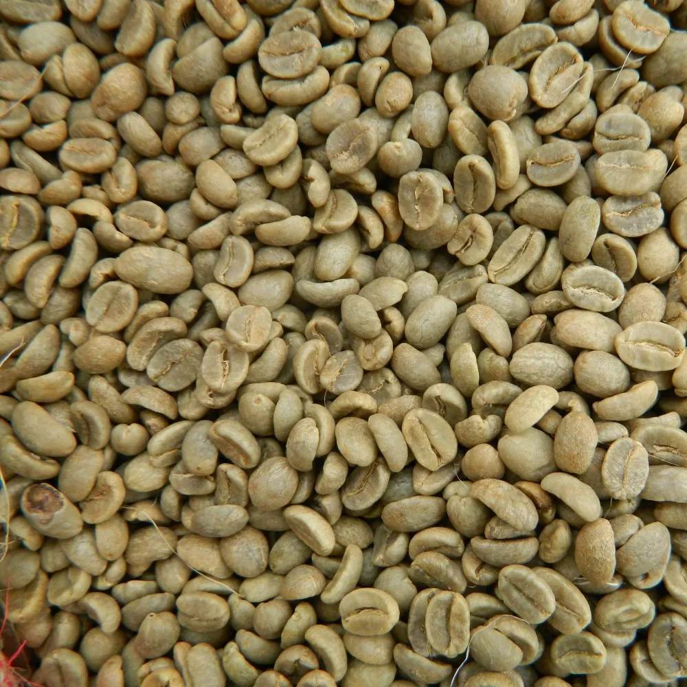 
Wholesale Vietnamese High Quality Green Coffee Beans With Best Price Arabica Beans For Import Good Quality Raw Coffee Beans 