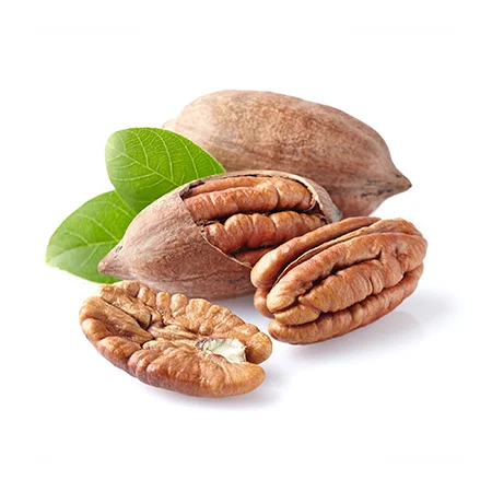 
High Quality Healthy Food Organic Nutrition Pecan Nuts in Shell 