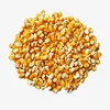 Yellow / White / Red Corn for Human & Animal Feed