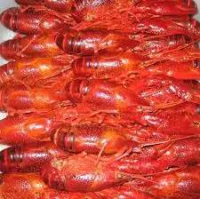 
Quality Fresh Frozen Crayfish For Sale 
