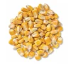 High Purity Natural Bulk Pure Yellow Fresh Vegetable Corn