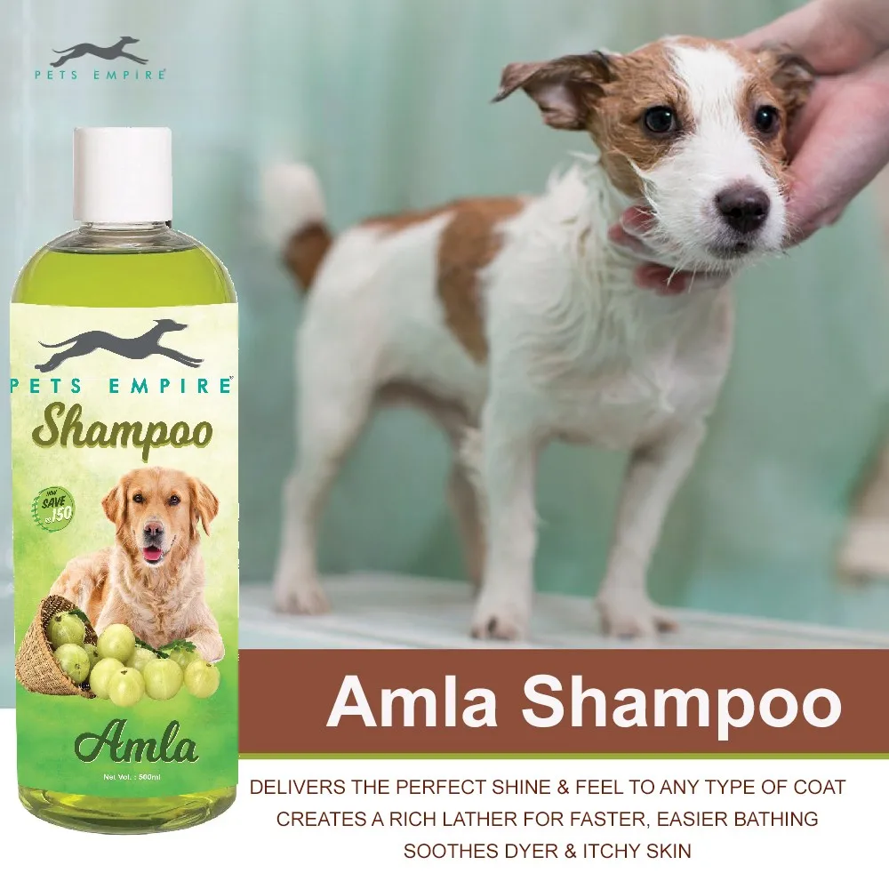 Шампуни животных для людей. Шампунь для собак. Шампунь для собак упаковка. Шампунь для животных кошек и собак. Овчарка немецкая шампунь для собак.