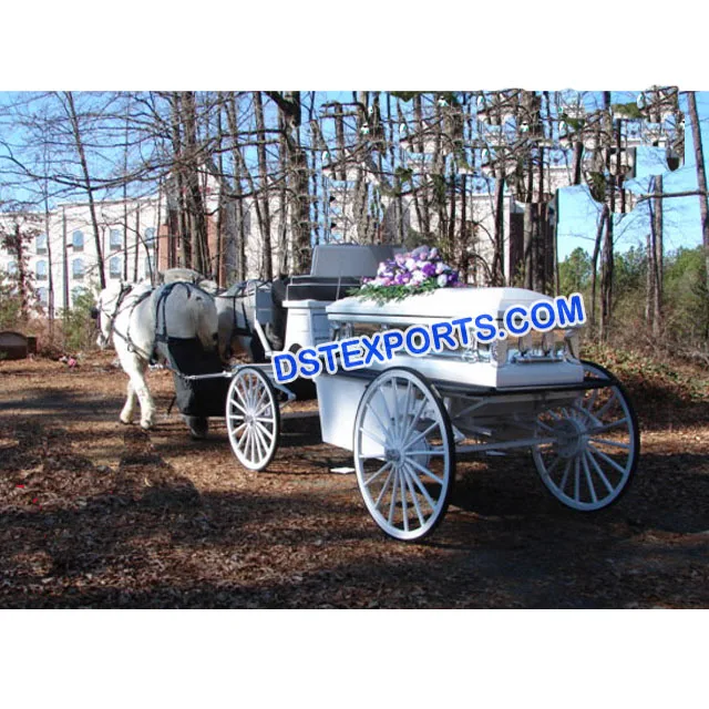 Branco Carruagem de Cavalos do Funeral/Inglês Funeral Puxada Por Cavalos Buggy Carro