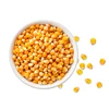 High Purity Natural Bulk Pure Yellow Fresh Vegetable FD Corn