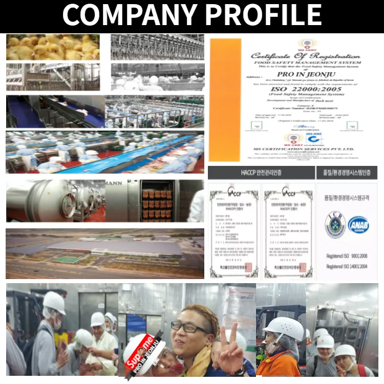PIJ COMPANY PROFILE11.png