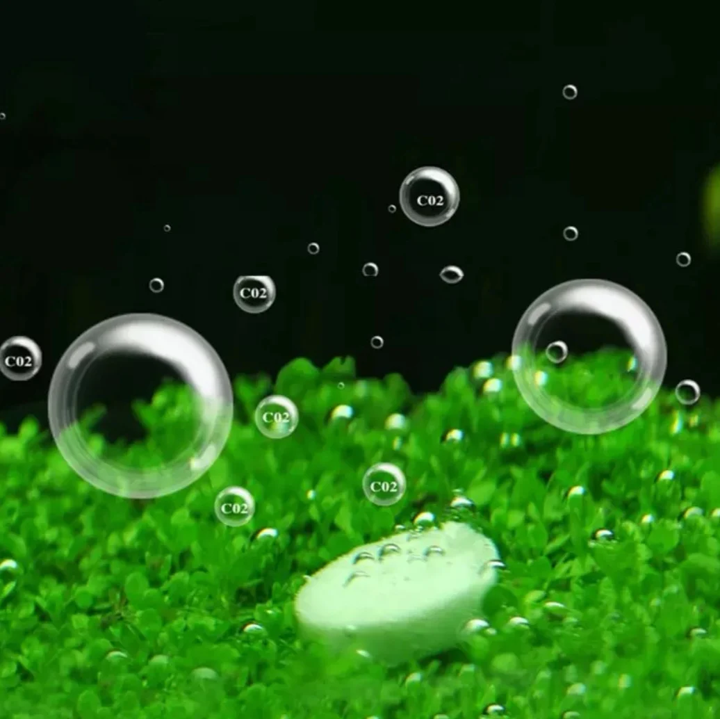 

100 Pcs Aquarium CO2 Tablets Carbon Dioxide Diffuser for Live Water Plant Grass 667A
