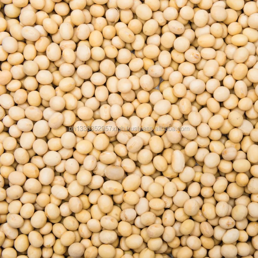 premium quality soybean/ soya bean/ soybeans seeds from brazil