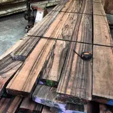 
Ebony wood log for sale 