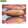 Widely Demand Top Quality Frozen Seafood Red Bass Fillet Fish