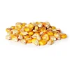 Corn Yellow Maize Top Grade