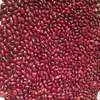 /product-detail/red-kidney-beans-62010925529.html