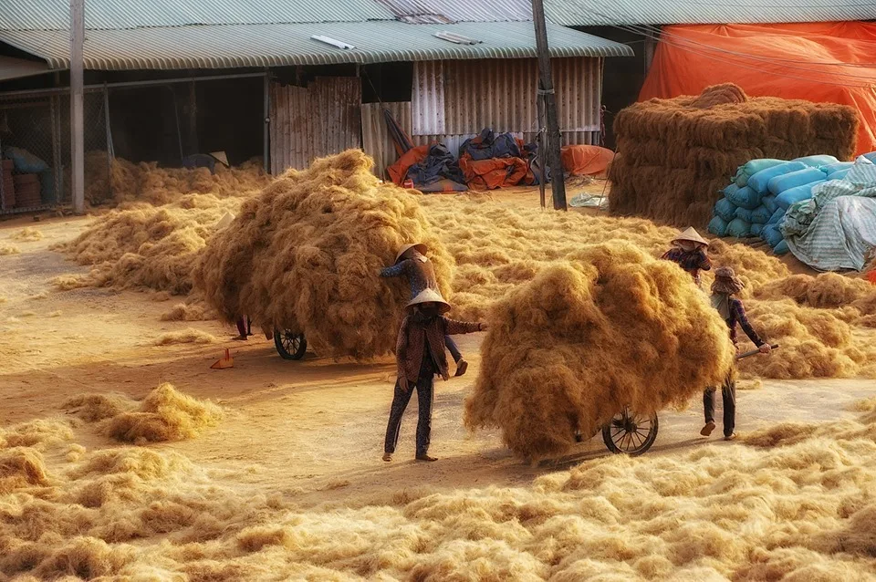 coconut coir (6).jpg