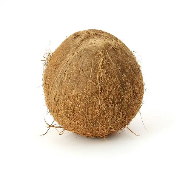Fresh-indian-coconut.jpg