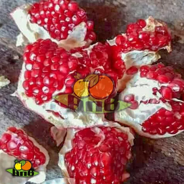 
fresh egyptian pomegranate 