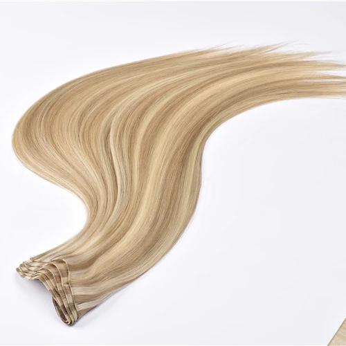 

Hand Tied Weft Extensions European Human Hair Russian Cuticle Aligned Hair Piano Color Brazilian Hair Samples Factory Supply