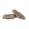 High quality delicious dried sea cucumber for beauty treatment
