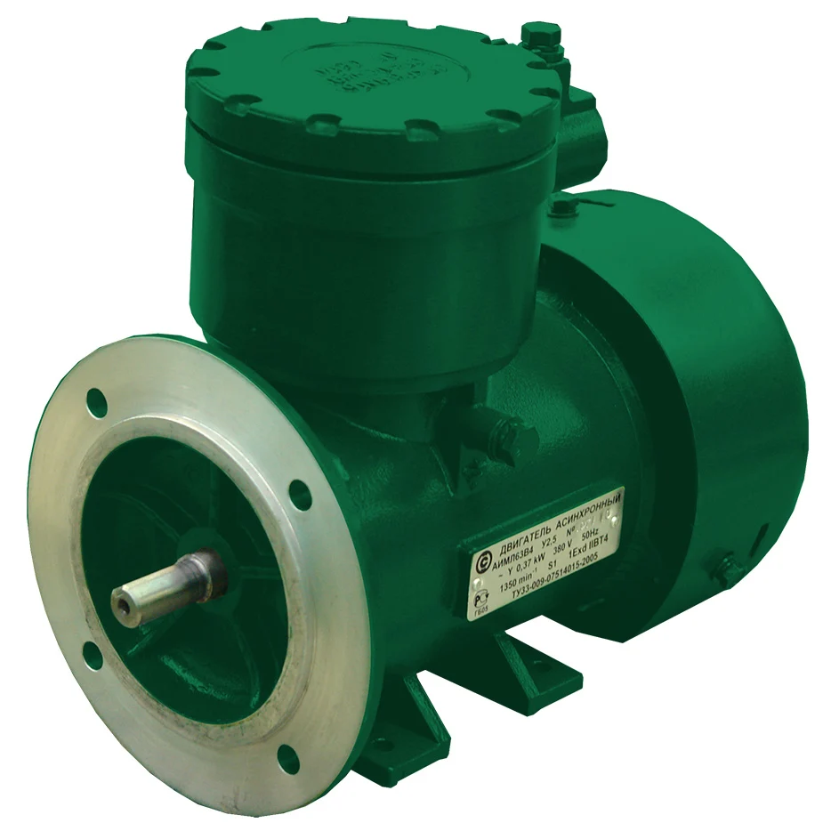 Industrial Explosion Proof Asynchronous Electric Motors Aiml With Rotation Axis Height Of 63