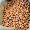 Fresh Java Peanuts Exporters in India