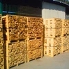 Kiln Dried Quality Firewood/Oak Fire Wood/Beech/Ash/Spruce//Birch Firewood