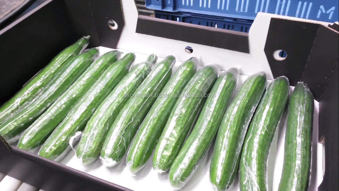 Screenshot (174).png