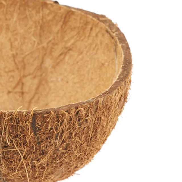 
High Quality Raw Coconut Shell 100% Pure Made From Indonesia 