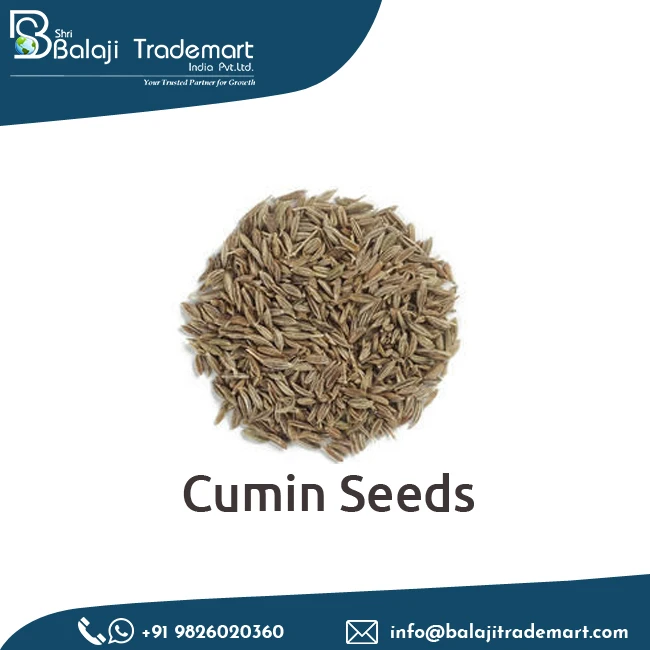 
Exporter of Wholesale Spices Natural Dried Cumin Seed India 