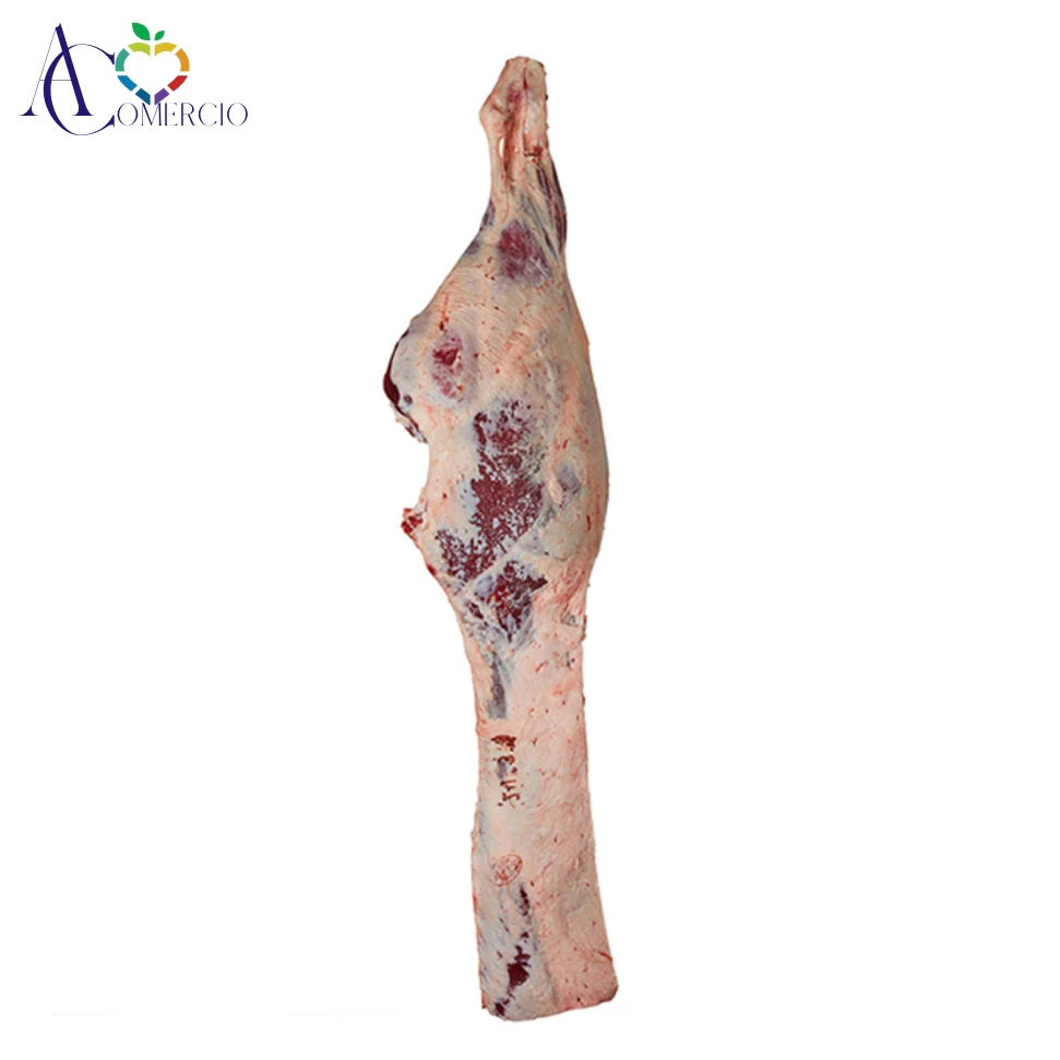 
Wholesale Frozen Beef Meat & Beef Cuts 