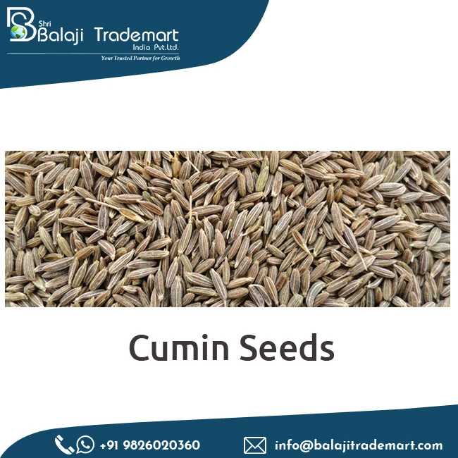 
Exporter of Wholesale Spices Natural Dried Cumin Seed India 