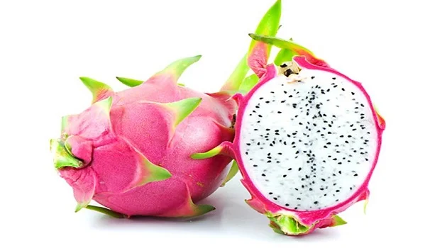 
Vietnam Fresh fruit/ Fresh dragon fruit for export 