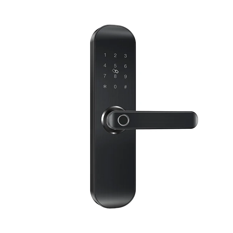 
4 AA Battery Zinc Alloy Smart Lock For Main Door M16 