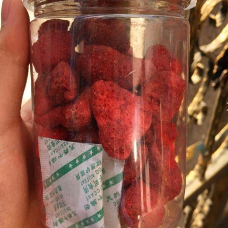 
fruit vegetable 1000kg vacuum freeze drying machine price 