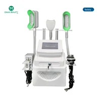 

Sales 360 degree new portable professional cryolipolysis freeze fat machine 4 handles cryolipolisys