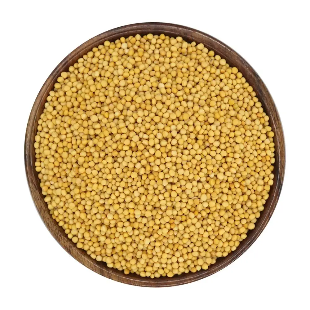premium quality mustard seeds for wholesale