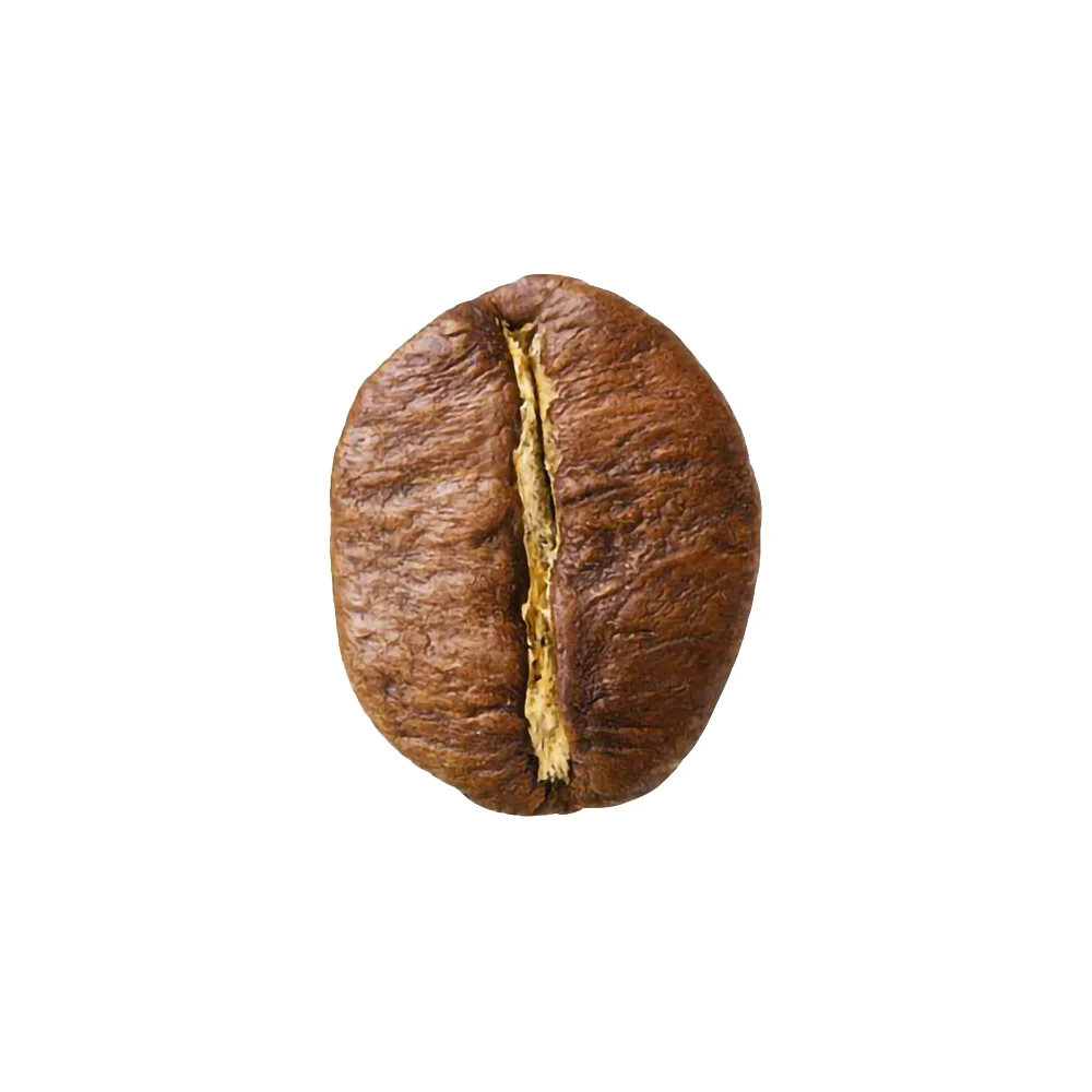 
Wholesale Vietnamese Manufacturer High Quality Robusta Coffee Bean 