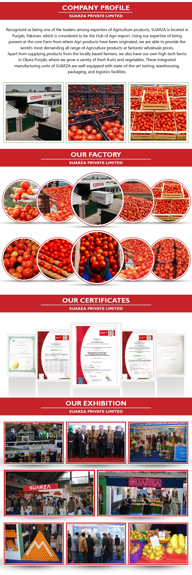 PROFILE PAGE (4).jpg