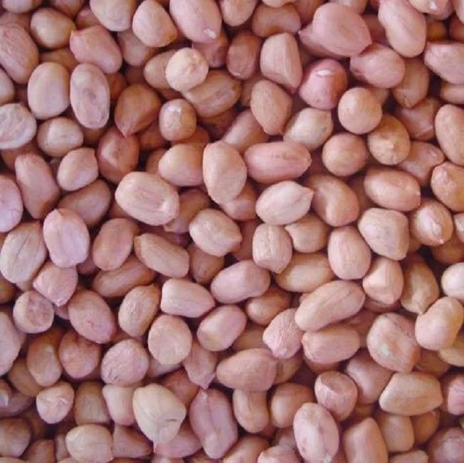 java peanut count-SDG.jpg