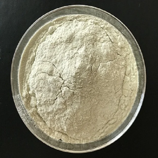 Highly Demanded Lipase Enzyme For Baking/ Laundry Detergents At Low