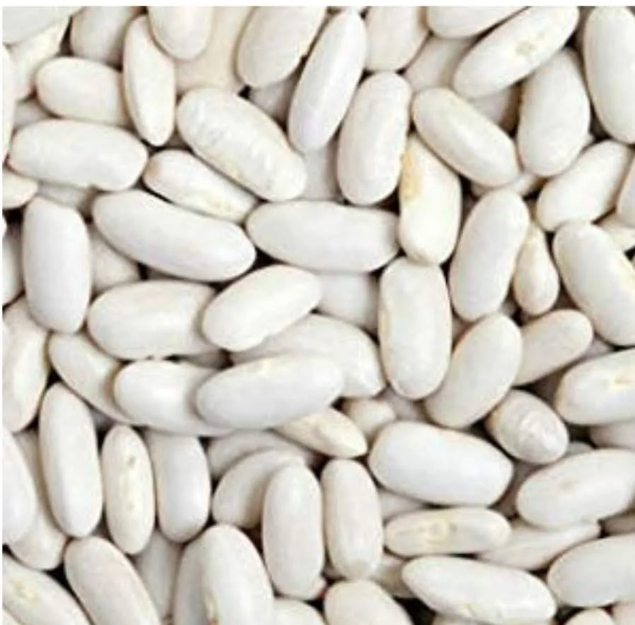 
White Beans  BEST QUALITY, BEST PRICES (SPICES LAND FOR EXPORT) 