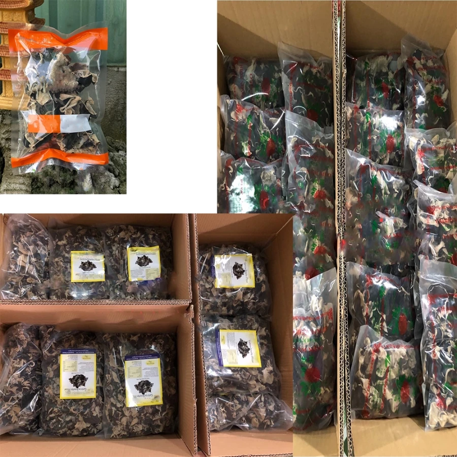 Optimized-packing_fungus