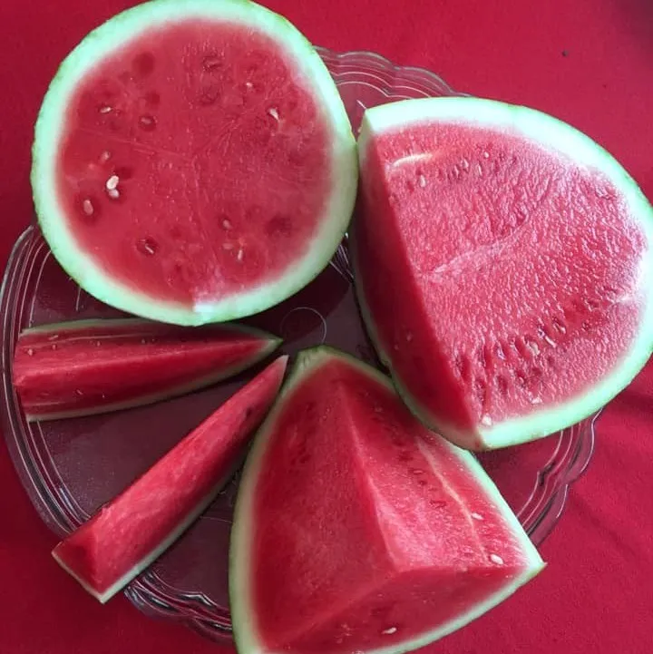 fresh water melon13.jpg