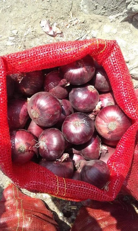 
Fresh Onion In Bulk Cheap Red/Yellow Onions For Sale 